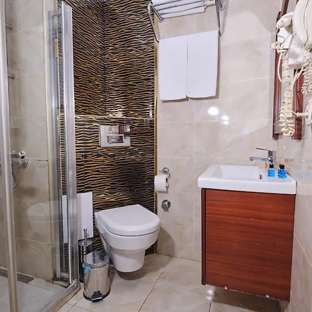 Newcity Hotel 3*